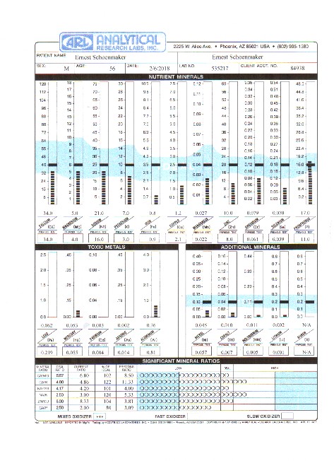 Example Hair Tissue Mineral Analysis 2018