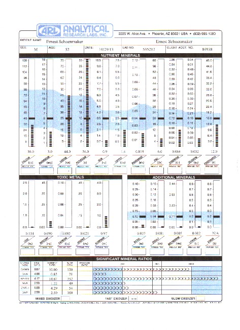Example Hair Tissue Analysis 2013