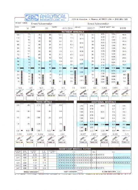 Example Hair Tissue Mineral Analysis 2016